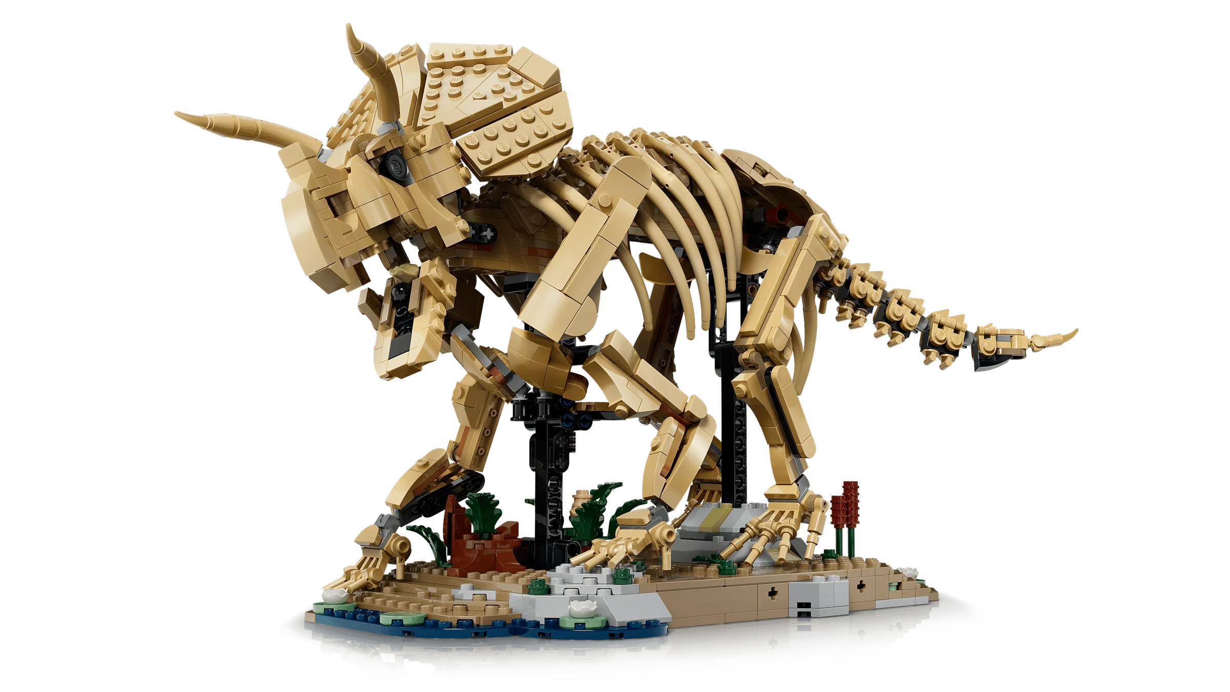LEGO 77985 Dinosaur Fossils: Triceratops - Jurassic World - Image 4
