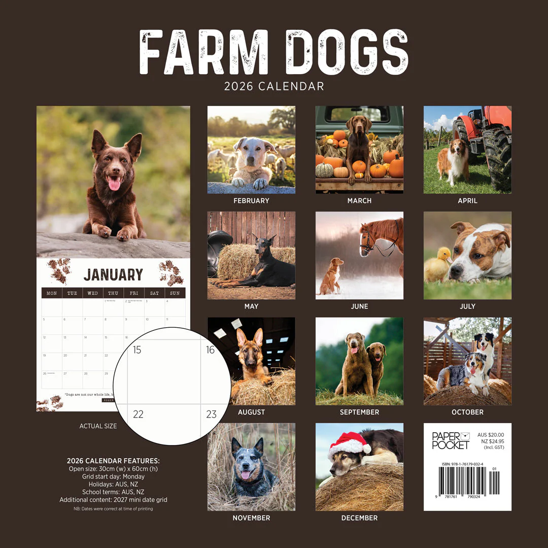 Paper Pocket Farm Dogs 2026 Calendar - Image 4
