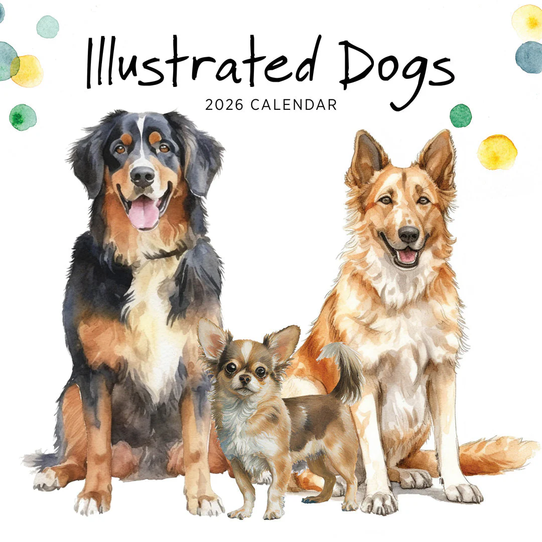 Paper Pocket Illustrated Dogs 2026 Calendar