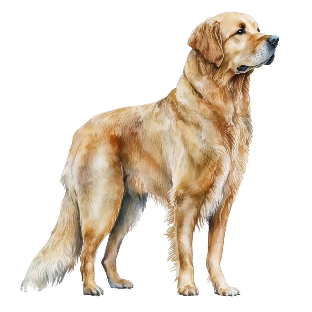 Paper Pocket Illustrated Dogs 2026 Calendar - Image 2