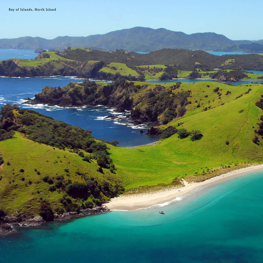 Paper Pocket New Zealand 2026 Calendar - Image 2