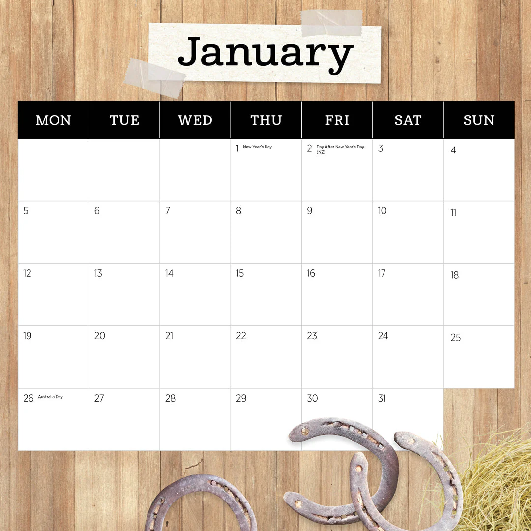 Paper Pocket Our Australia Horses at Home 2026 Calendar - Image 3