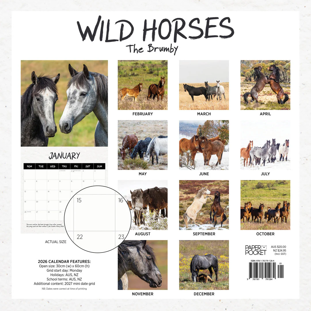 Paper Pocket Our Australia Wild Horses 2026 Calendar - Image 4