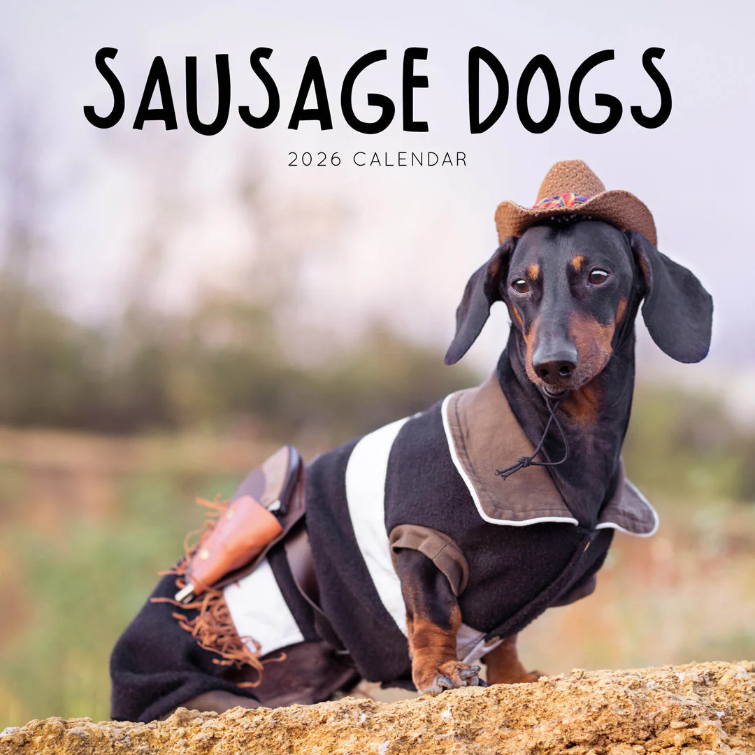 Paper Pocket Sausage Dogs 2026 Calendar