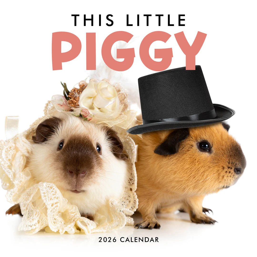 Paper Pocket This Little Piggy 2026 Calendar