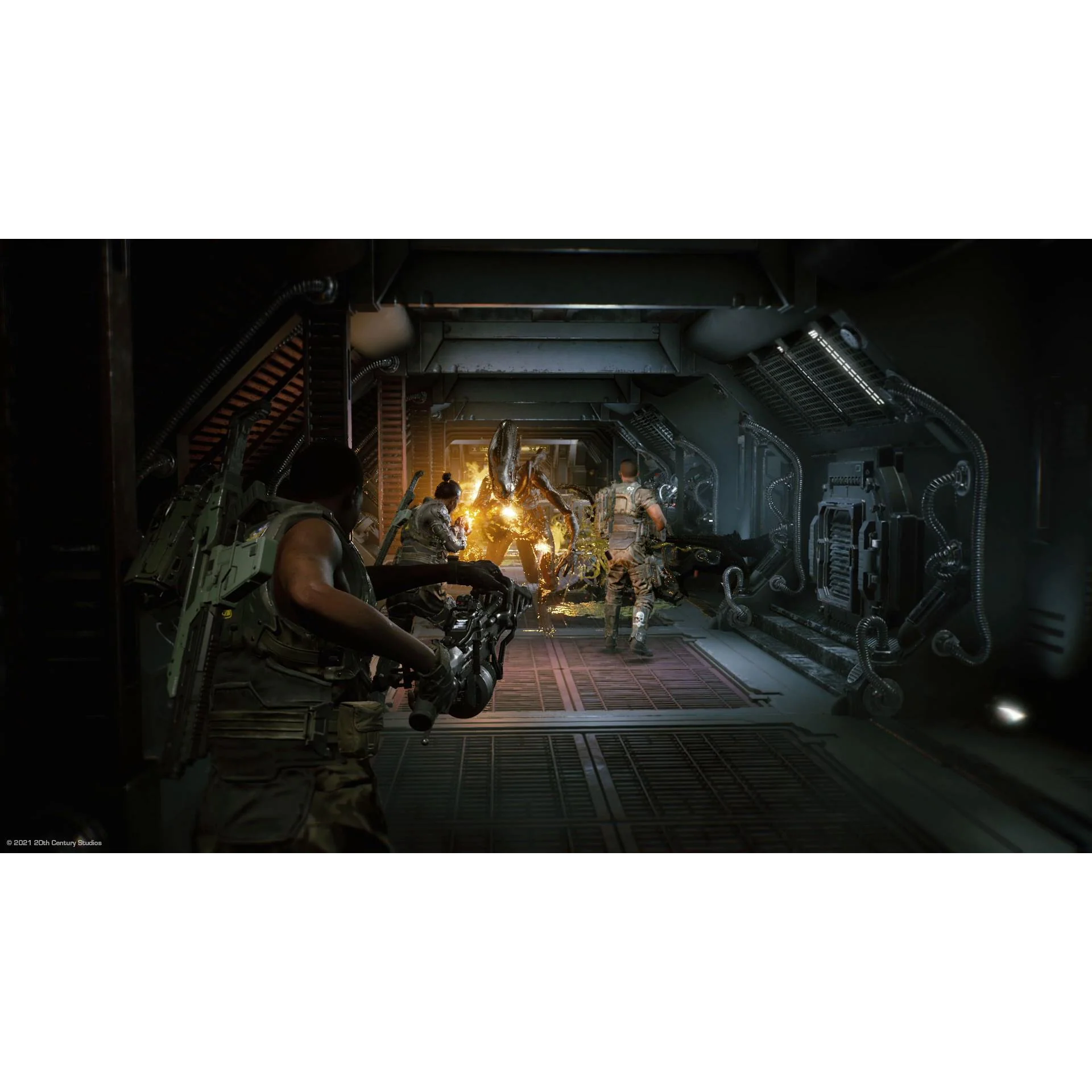 Aliens: Fireteam Elite - Image 3