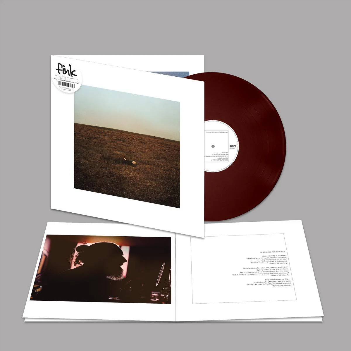 City Is Coming To Erase It All (Winter Gorse Vinyl)