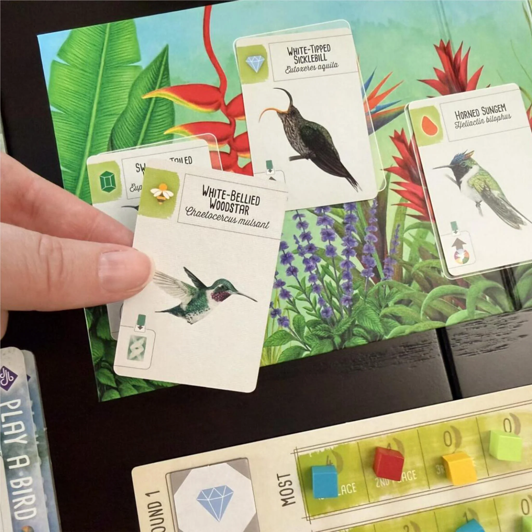 Wingspan - Americas Expansion Board Game - Image 2