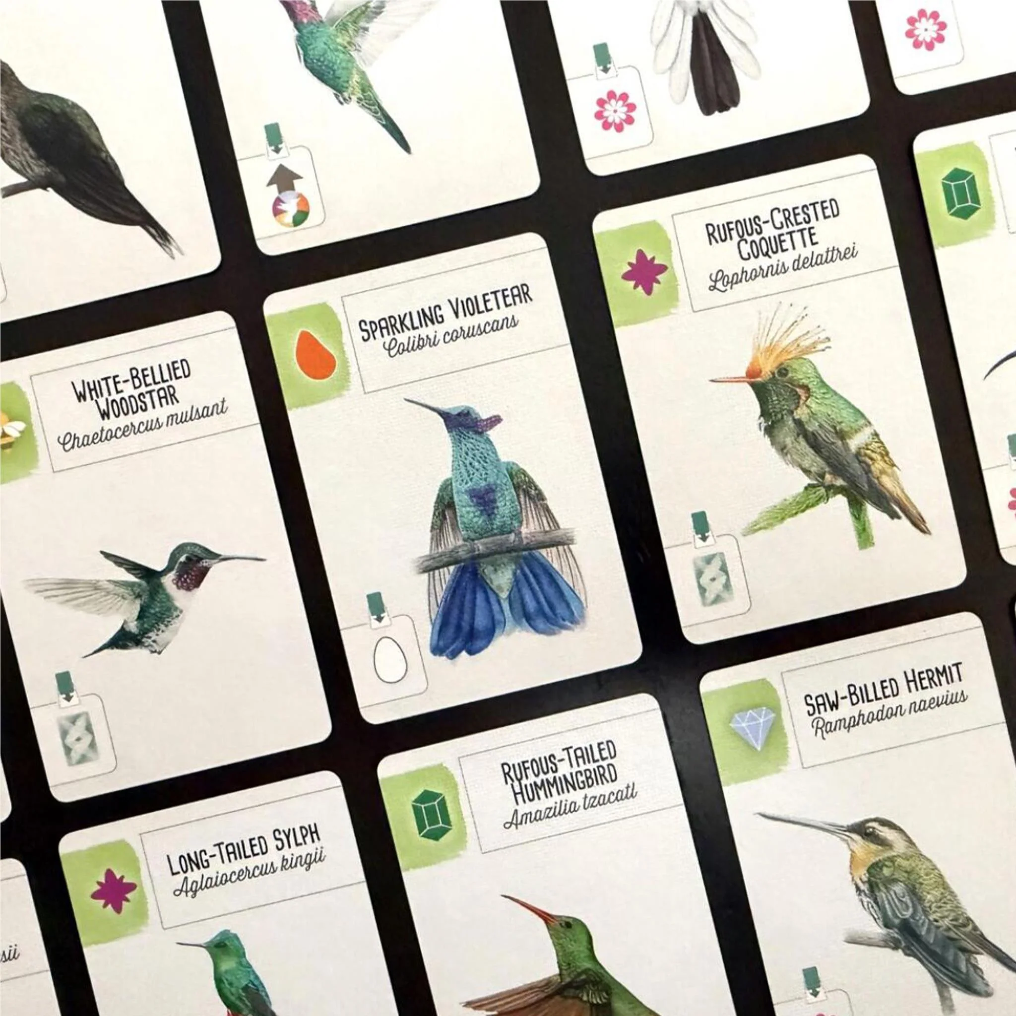 Wingspan - Americas Expansion Board Game - Image 4